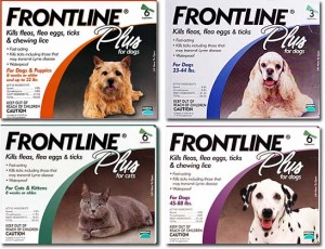 frontline-plus