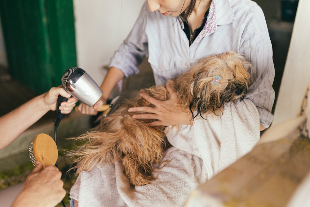 BLOW DRY